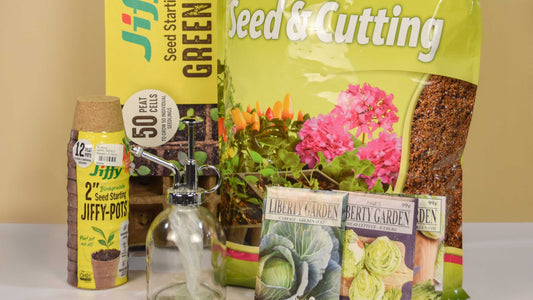 Indoor Seed Starting for a Successful Fall Garden