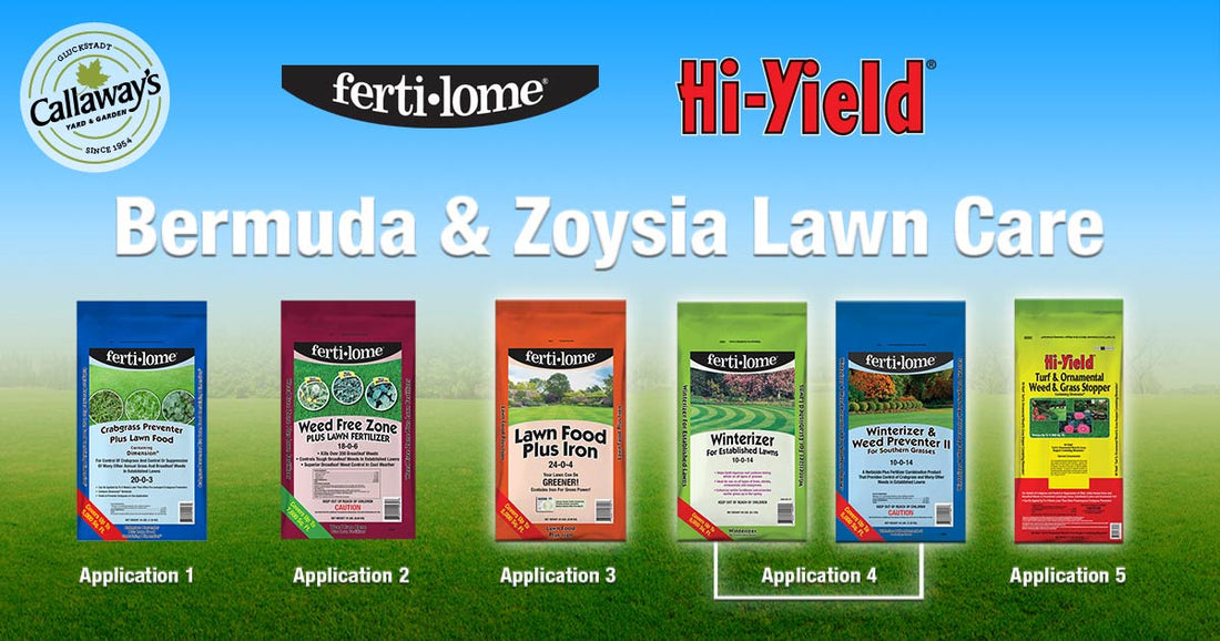 Bermuda & Zoysia Lawn Care