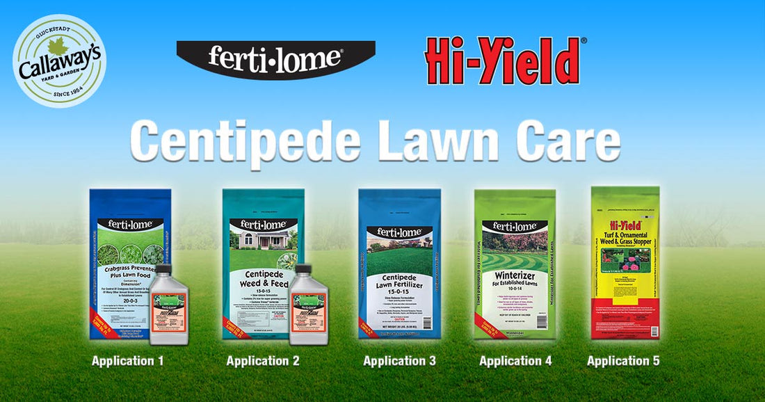 Centipede Lawn Care