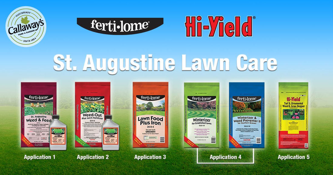 St Augustine Lawn Care