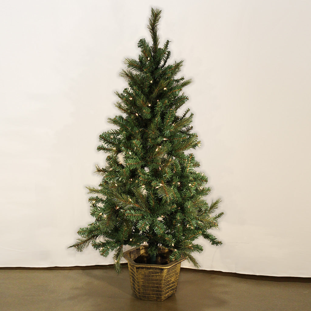 Amberg Spruce In Urn With 150 Clear Lights "Ships Free"