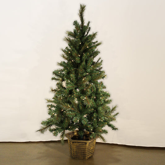 Amberg Spruce In Urn With 150 Clear Lights "Ships Free"