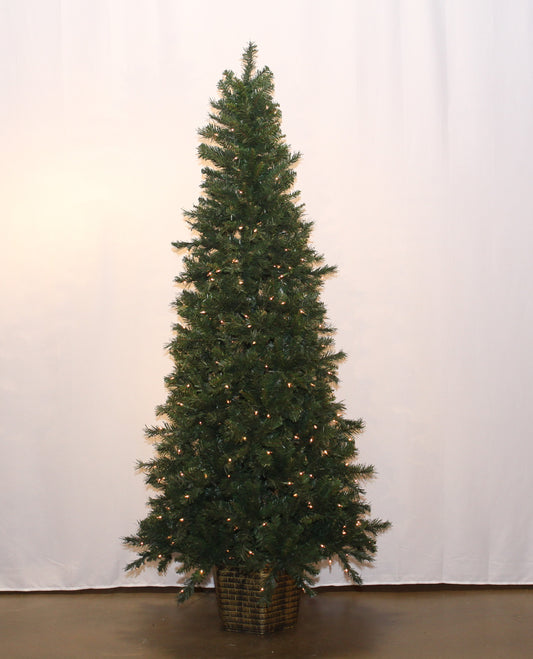Boden Potted Spruce With Clear Lights "Ships Free"