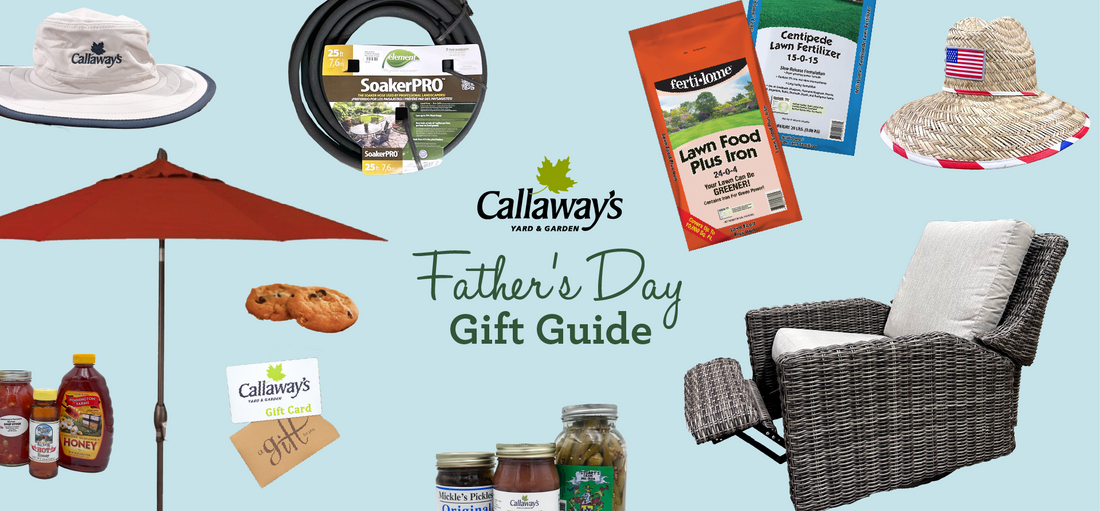 Father's Day Gift Guide