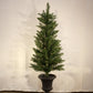 Column Tree in Pot, 4' With 50 Clear Lights "Ships Free"