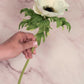 White Anemone Silk Floral 22" Pick