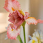 Real Touch Pink Iris Silk Floral 30.5" Pick