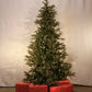 Canterbury Wall Christmas Tree With 350 Clear Lights "Ships Free"