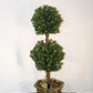 Spruce Ball Topiary With Clear Lights  "Ships Free"