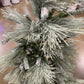 Frosted Mix White Pine Tree "Ships Free"