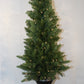 Virginia Spruce In Urn, 4' With 100 Clear Lights "Ships Free"