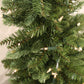 Virginia Spruce In Urn, 4' With 100 Clear Lights "Ships Free"