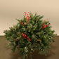 Pine Topper 2' With 100 Clear Lights "Ships Free"