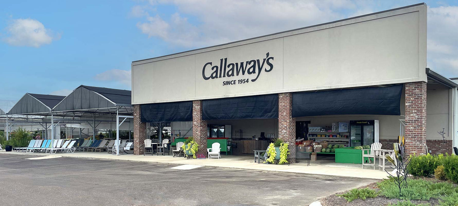 Callaway's Yard & Garden Permanent Christmas Trees, Garden Supplies