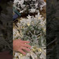 Acacia Fir Artificial Christmas Tree "Ships Free"